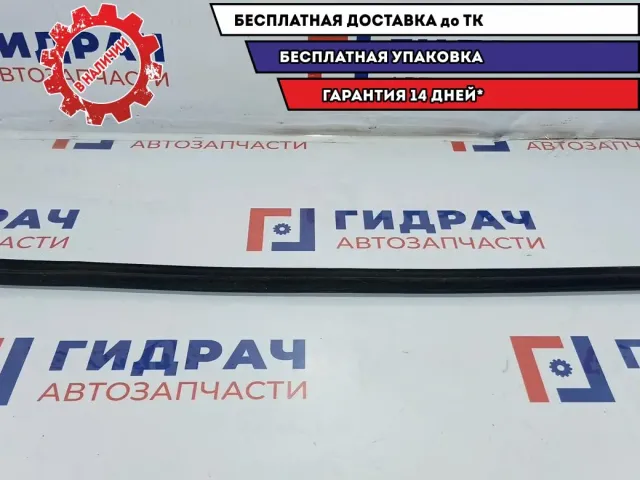 Уплотнитель стекла двери переднего левого BMW X5 51328402555. Внутренний.