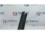 Уплотнитель стекла двери переднего левого BMW X5 51328402555. Внутренний.