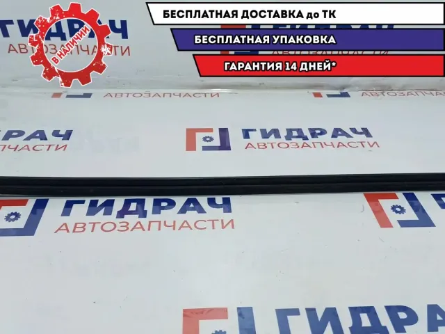 Уплотнитель стекла двери переднего правого BMW X5 51328402556. Внутренний.