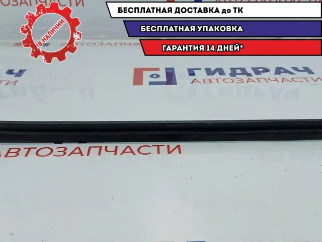 Уплотнитель стекла двери заднего левого BMW X5 51348402631. Внутренний.
