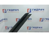 Уплотнитель стекла двери заднего левого BMW X5 51348402631. Внутренний.