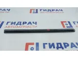 Уплотнитель стекла двери заднего левого BMW X5 51348402631. Внутренний.