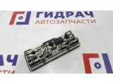Плафон салонный передний BMW X5 63316962046.