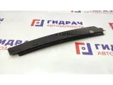 Накладка двери передней левой BMW X5 51327038359. Вертикальная. Дефект. Ремонтировалась.