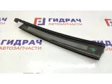 Накладка двери задней левой BMW X5 51347041433. Вертикальная, передняя.