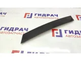 Накладка двери задней левой BMW X5 51347041437. Вертикальная, задняя.