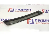 Накладка двери задней левой BMW X5 51347041437. Вертикальная, задняя.