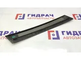 Накладка двери задней левой BMW X5 51347041437. Вертикальная, задняя.