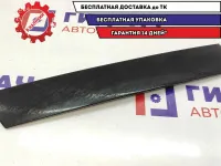 Накладка двери задней правой BMW X5 51347041438. Вертикальная, задняя.