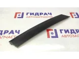 Накладка двери задней правой BMW X5 51347041438. Вертикальная, задняя.
