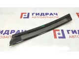 Накладка двери задней правой BMW X5 51347041438. Вертикальная, задняя.