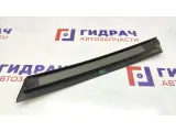 Накладка двери задней правой BMW X5 51347041438. Вертикальная, задняя.