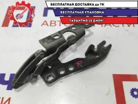 Петля капота правая BMW X5 41617006124.