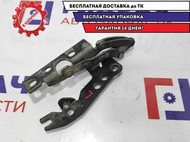 Петля капота левая BMW X5 41617006123.