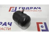 Ресивер воздушный BMW X5 37126755022.
