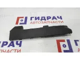 Крышка кабель канала BMW X5 1741829.