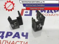 Петли двери задней левой BMW X5 . Пара.