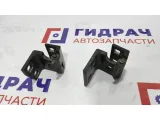 Петли двери задней левой BMW X5 . Пара.