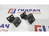 Петли двери задней правой BMW X5 . Пара.