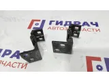 Петли двери задней правой BMW X5 . Пара.
