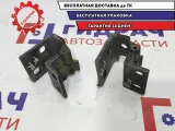 Петли двери передней правой BMW X5 . Пара.
