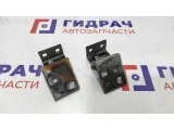 Петли двери передней левой BMW X5 . Пара.
