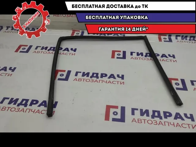 Уплотнитель направляющей стекла заднего правого BMW X5 .