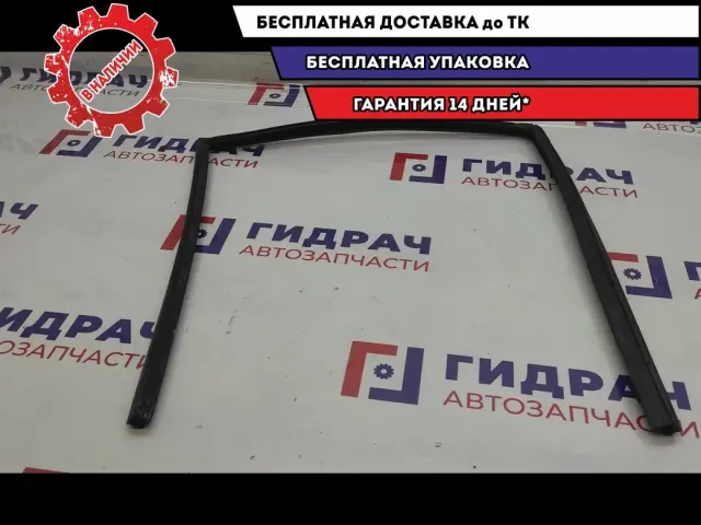 Уплотнитель направляющей стекла заднего левого BMW X5 .