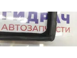 Уплотнитель направляющей стекла заднего левого BMW X5 .