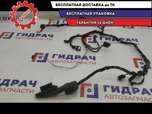 Проводка двери передней правой BMW X5 61126909104.