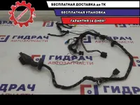 Проводка двери передней левой BMW X5 61126909104.