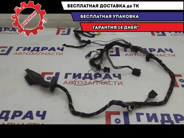 Проводка двери передней левой BMW X5 61126909104.