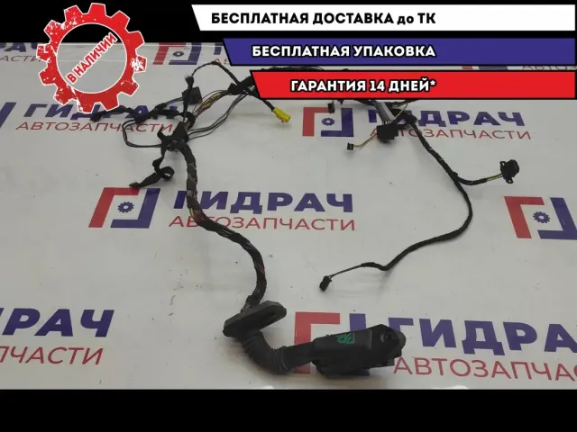 Проводка двери задней правой BMW X5 61126910429.