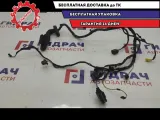 Проводка двери задней левой BMW X5 61126910429.