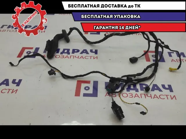 Проводка двери задней левой BMW X5 61126910429.