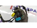 Проводка двери задней левой BMW X5 61126910429.
