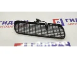 Решетка в капот левая BMW X5 51138402669. Сломано крепление, с форсункой омывателя лобового стекла.