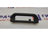 Ручка внутренняя потолочная задняя BMW X5 51168258064.