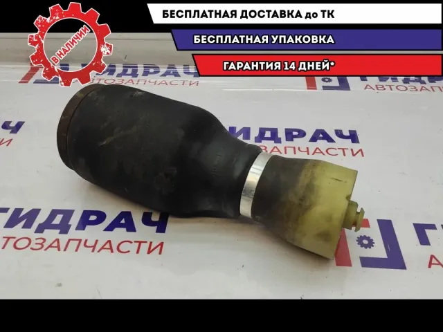 Воздушная подушка (опора пневматическая) задняя левая BMW X5 37126750355.