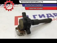 Катушка зажигания BMW X5 12131703228.