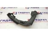 Накладка на лонжерон левая BMW X5 51718408769.