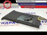 Обшивка стойки задняя правая BMW X5 51438250222.