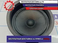 Динамик двери задней правой BMW X5 (E53) 65138379094.