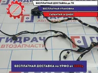 Проводка двери задней правой BMW X5 (E53) 61126913730.