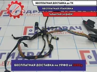 Проводка двери задней левой BMW X5 (E53) 61126913730.