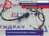 Проводка двери передней правой BMW X5 (E53) 61126913727.