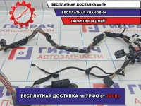 Проводка двери передней левой BMW X5 (E53) 61126913727.