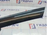 Накладка обшивки двери передней левой BMW X5 (E53) . Дефект, потертость.