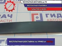 Накладка двери задней левой BMW X5 (E53) 51347041437. Вертикальная, задняя.