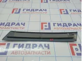 Накладка двери задней правой BMW X5 (E53) 51347041438. Вертикальная, задняя.